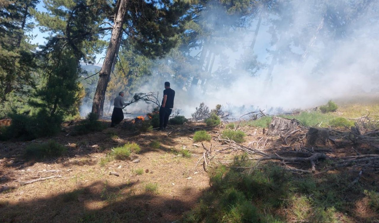 Adana’da ormanlık alanda yangın