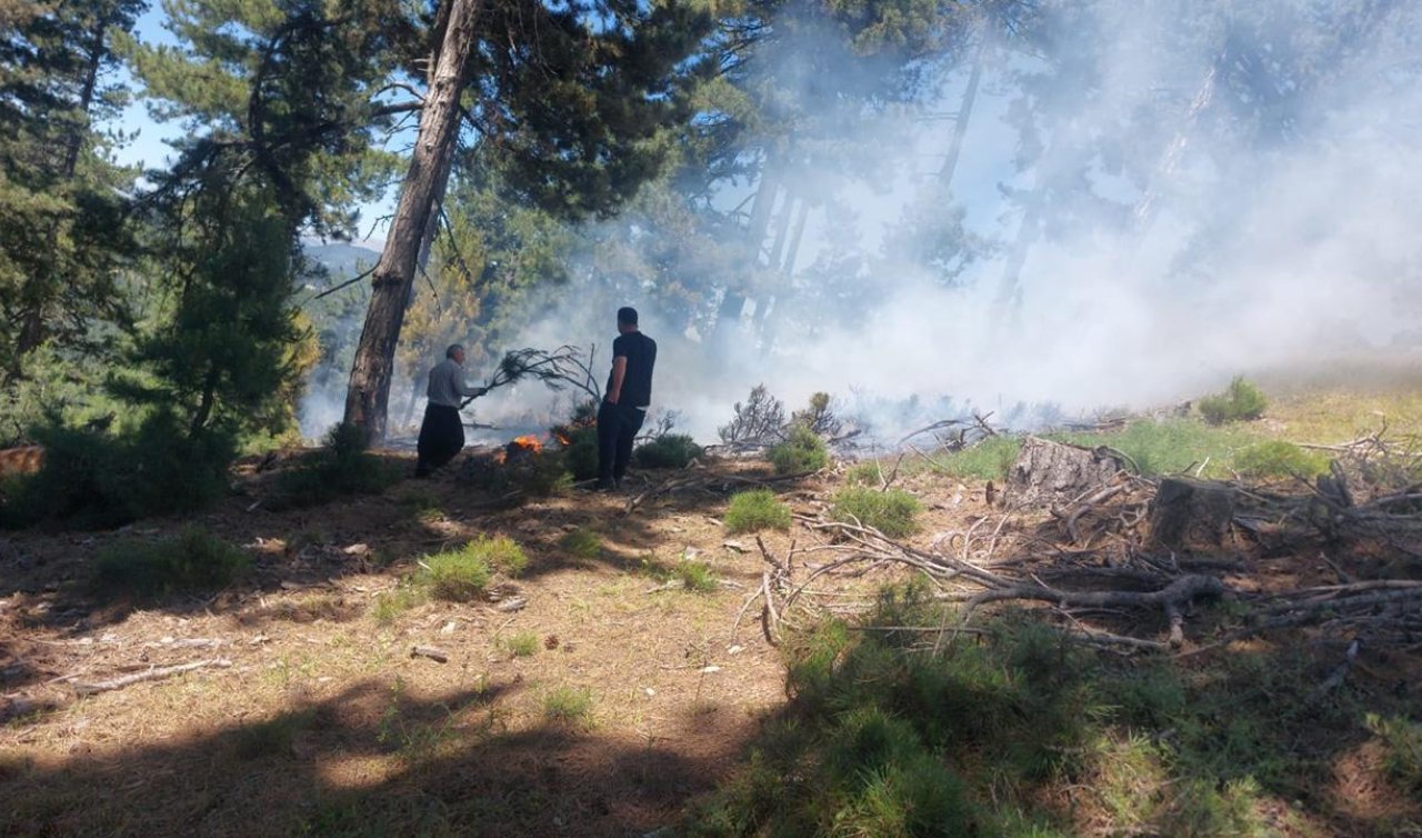  Adana’da ormanlık alanda yangın