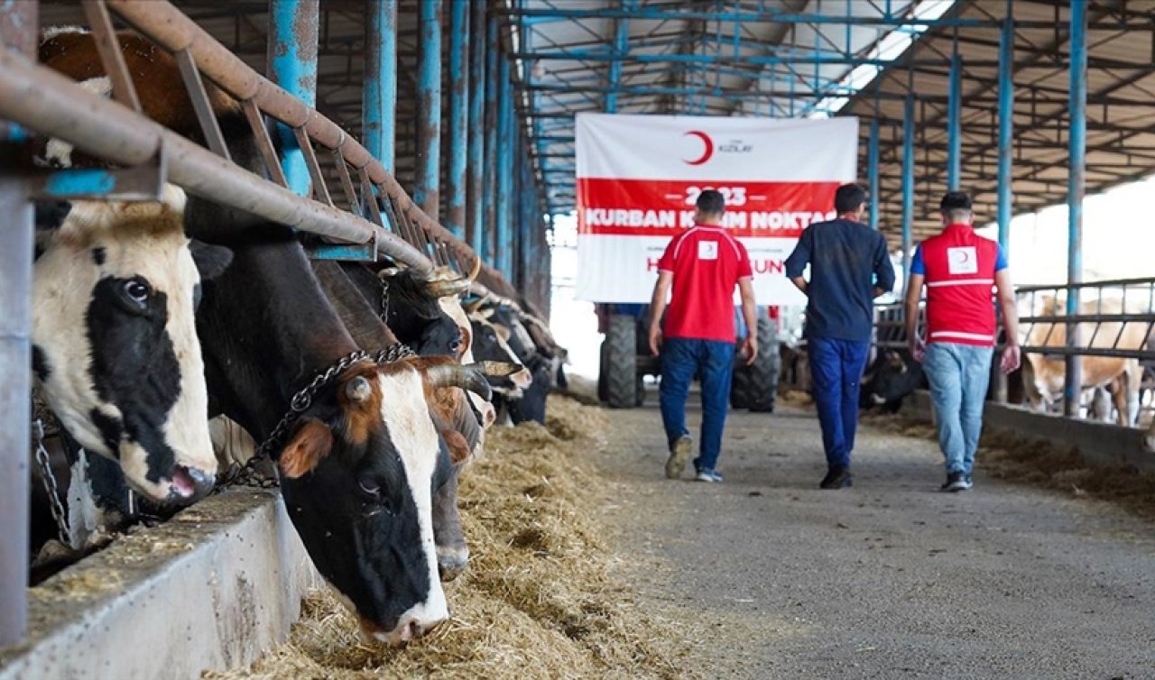 Kızılay kurban vekalet bedellerini açıkladı! 