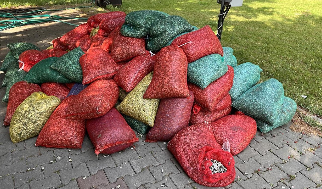 Kaçak avcılık operasyonu: 3 ton kum şırlanı ele geçirildi