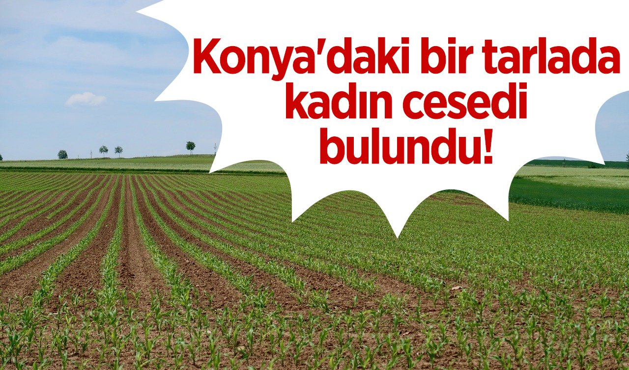 Konya’daki bir tarlada kadın cesedi bulundu!  7 şüpheli yakalandı