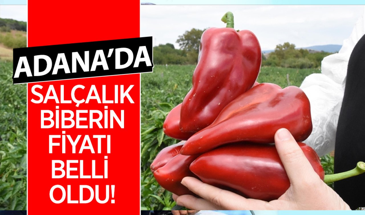 Adana’da salçalık biberin fiyatı belli oldu!