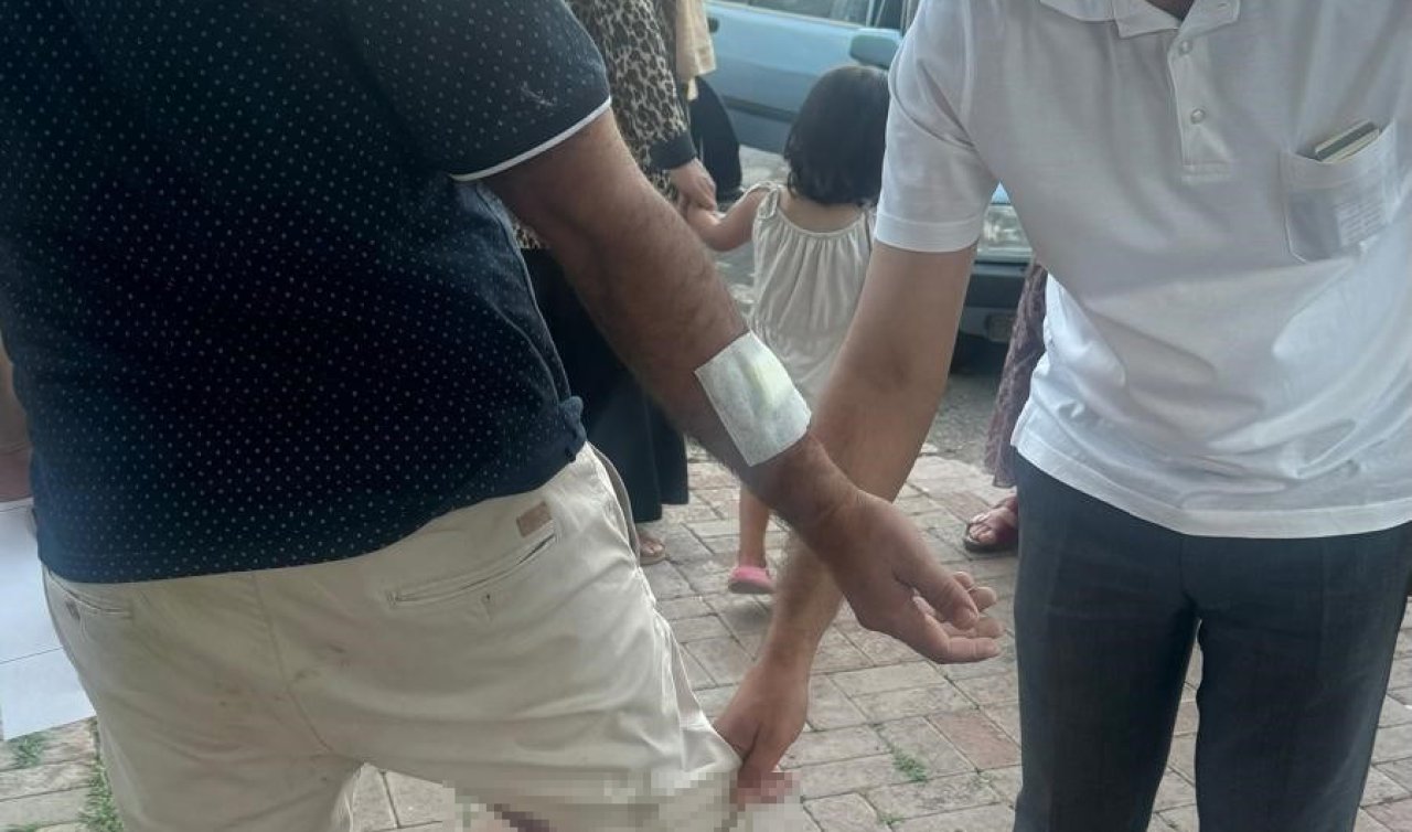 Kuduz köpek ısırdı karantinaya alındı! 