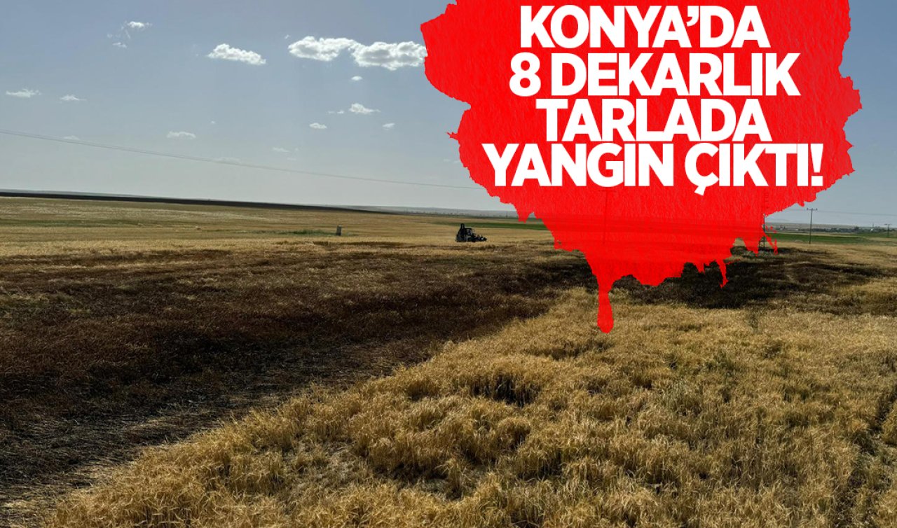  Konya’da 8 dekarlık tarlada yangın çıktı!