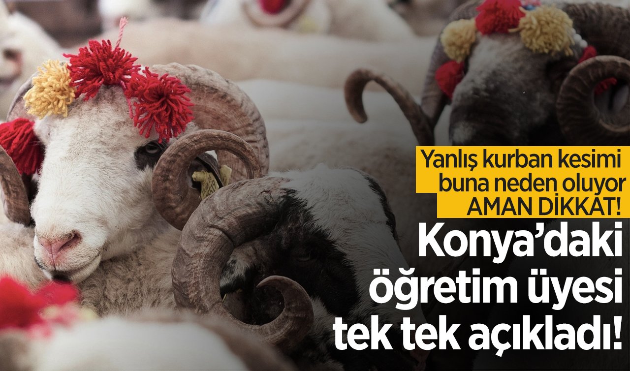 Konya’daki öğretim üyesi tek tek açıkladı! Yanlış kurban kesimi buna neden oluyor: AMAN DİKKAT! 