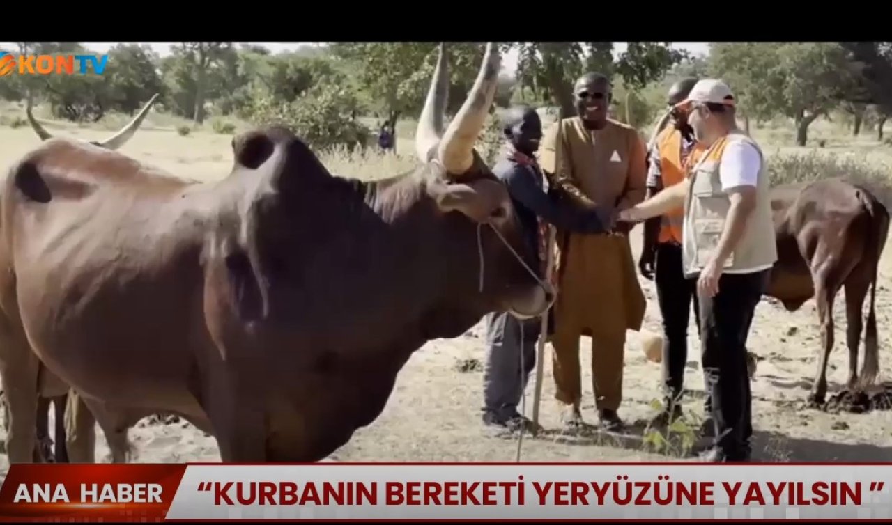 Dost Eli kurban bağışlarını 15 ülkeye ulaştıracak