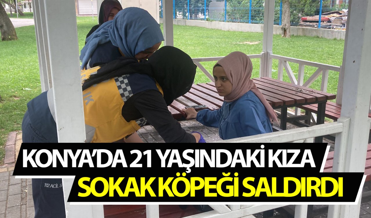 Konya’da 21 yaşındaki kıza sokak köpeği saldırdı!