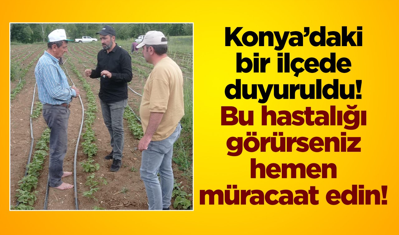  Konya’daki bir ilçede duyuruldu! Bu hastalığı görürseniz hemen müracaat edin! 