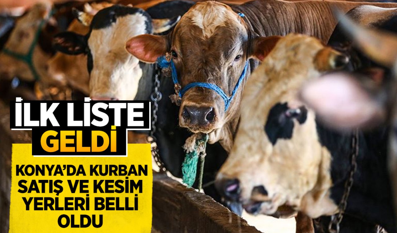 Konya’da kurban satış ve kesim yerleri belli oluyor! İlk liste geldi
