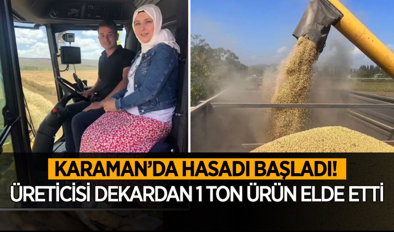 Karaman’da hasadı başladı! Üreticisi dekarda 1 ton verim aldı