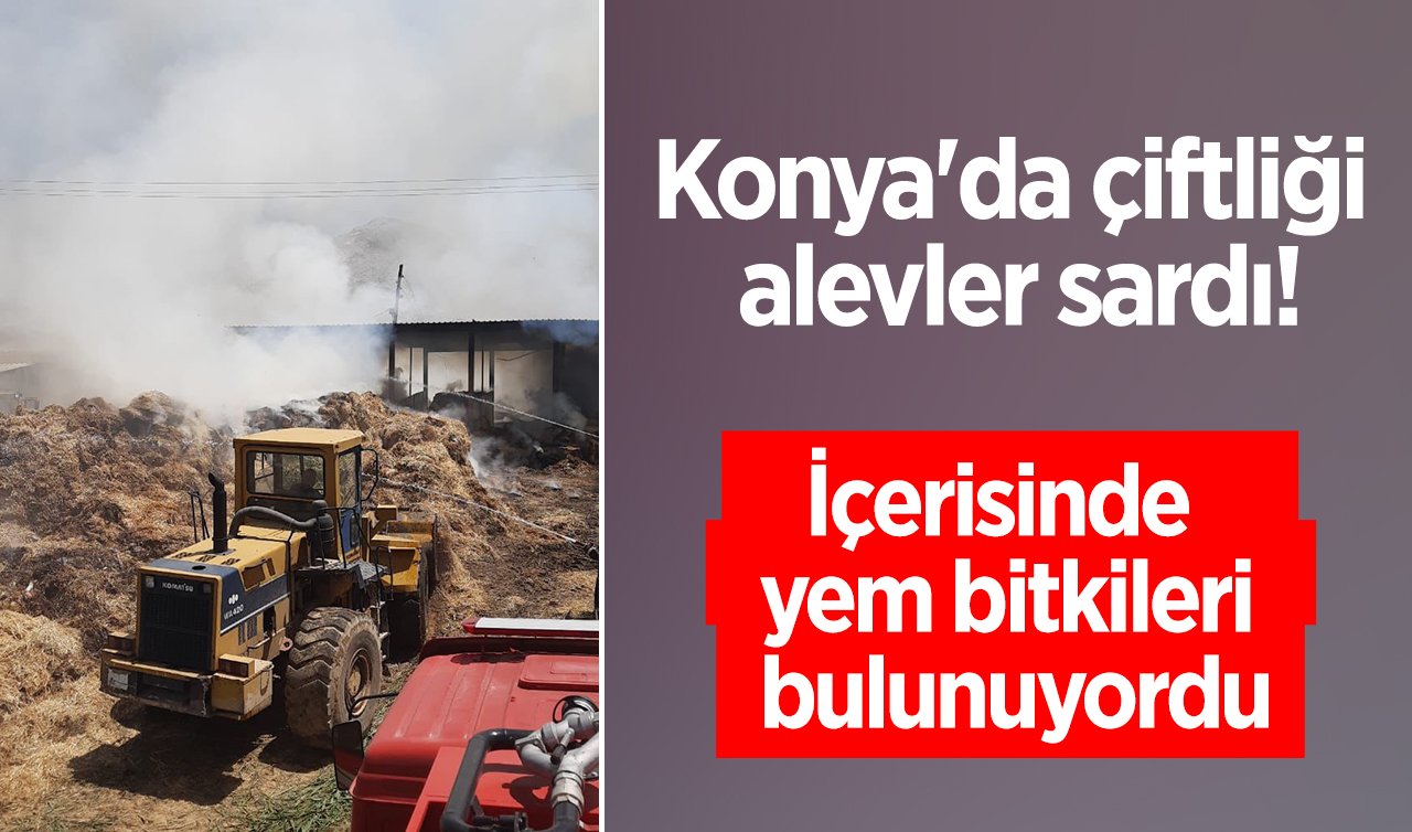  Konya’da çiftliği alevler sardı! İçerisinde  yem bitkileri bulunuyordu