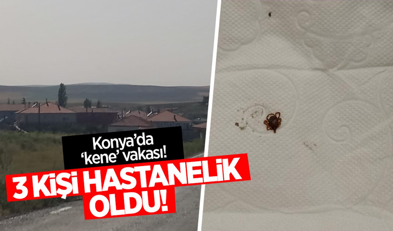  Konya’da ’kene’ vakası! 3 kişi hastanelik oldu