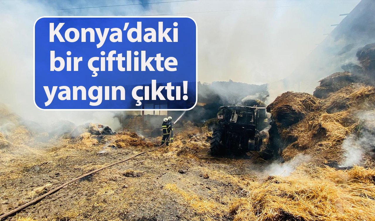  Konya’daki bir çiftlikte yangın çıktı!