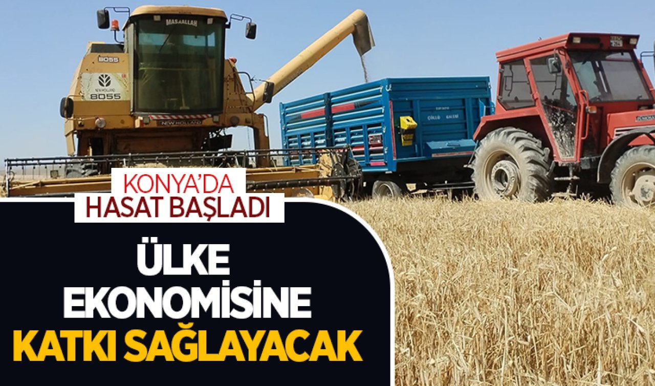 Konya’da hasat başladı! Ülke ekonomisine katkı sağlayacak