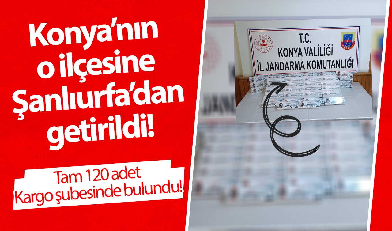 Konya’nın o ilçesine Şanlıurfa’dan getirildi! Tam 120 adet: Kargo şubesinde bulundu!