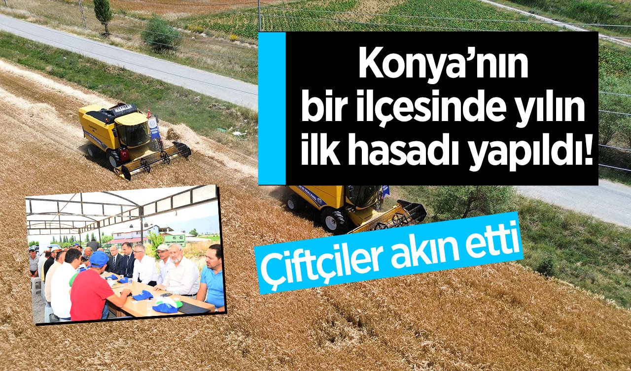 Konya’nın bir ilçesinde yılın ilk hasadı yapıldı! Çiftçiler akın etti