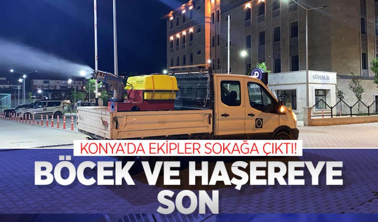 Konya’da ekipler sokağa çıktı! Böcek ve haşereye son