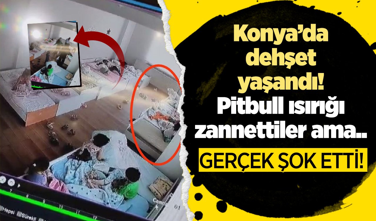 Konya’da dehşet yaşandı! Pitbull ısırığı zannettiler ama.. GERÇEK ŞOK ETTİ! 