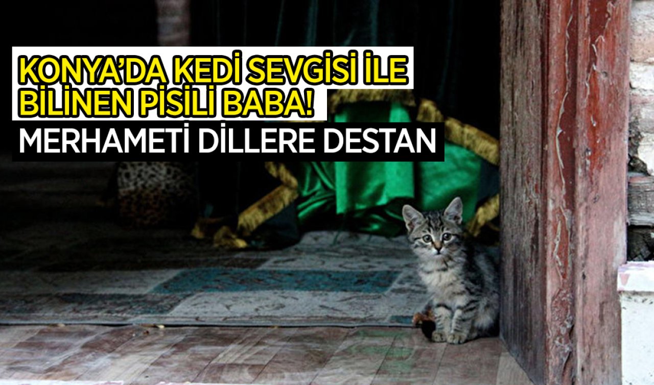 Konya’da kedi sevgisi ile bilinen Pisili Baba! Merhameti dillere destan