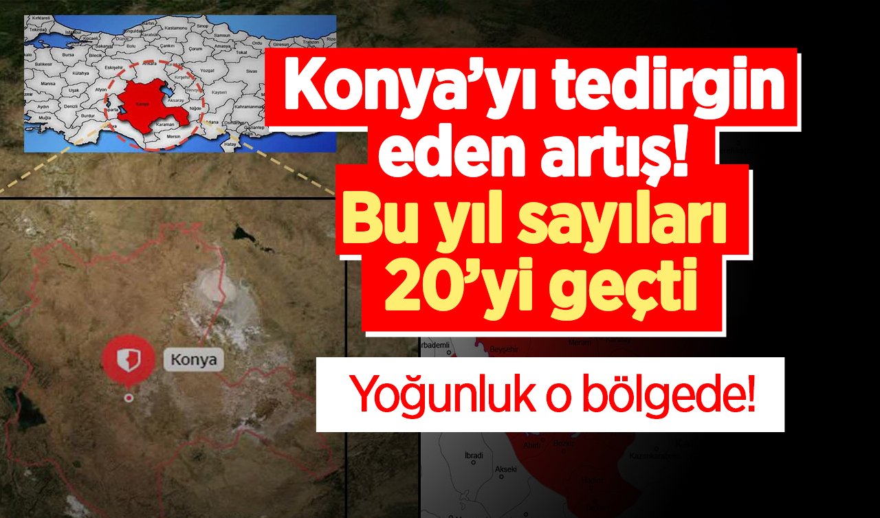  Konya’yı tedirgin eden artış! Bu yıl sayıları 20’yi geçti: Yoğunluk o bölgede! 