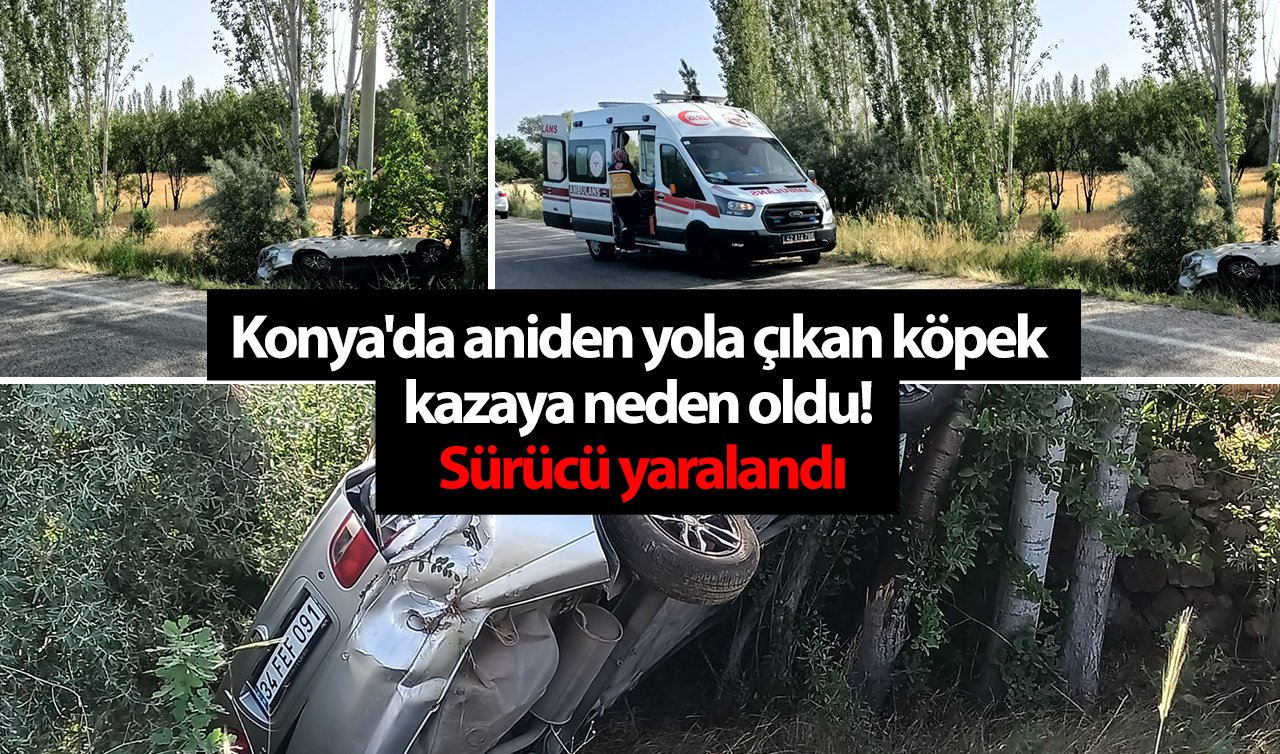 Konya’da aniden yola çıkan köpek kazaya neden oldu! Sürücü yaralandı