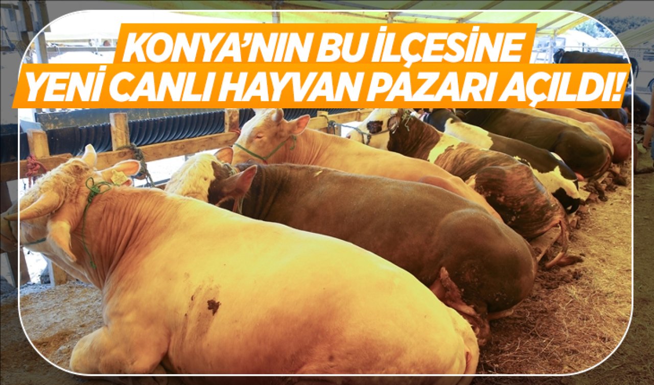 Konya’nın bu ilçesinde canlı hayvan pazarı açıldı