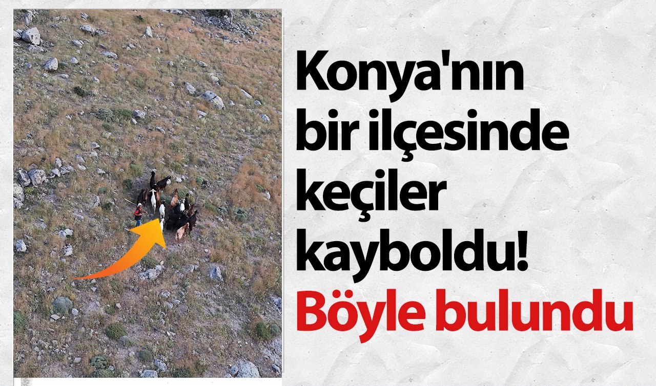 Konya’nın bir ilçesinde keçiler kayboldu! Böyle bulundu