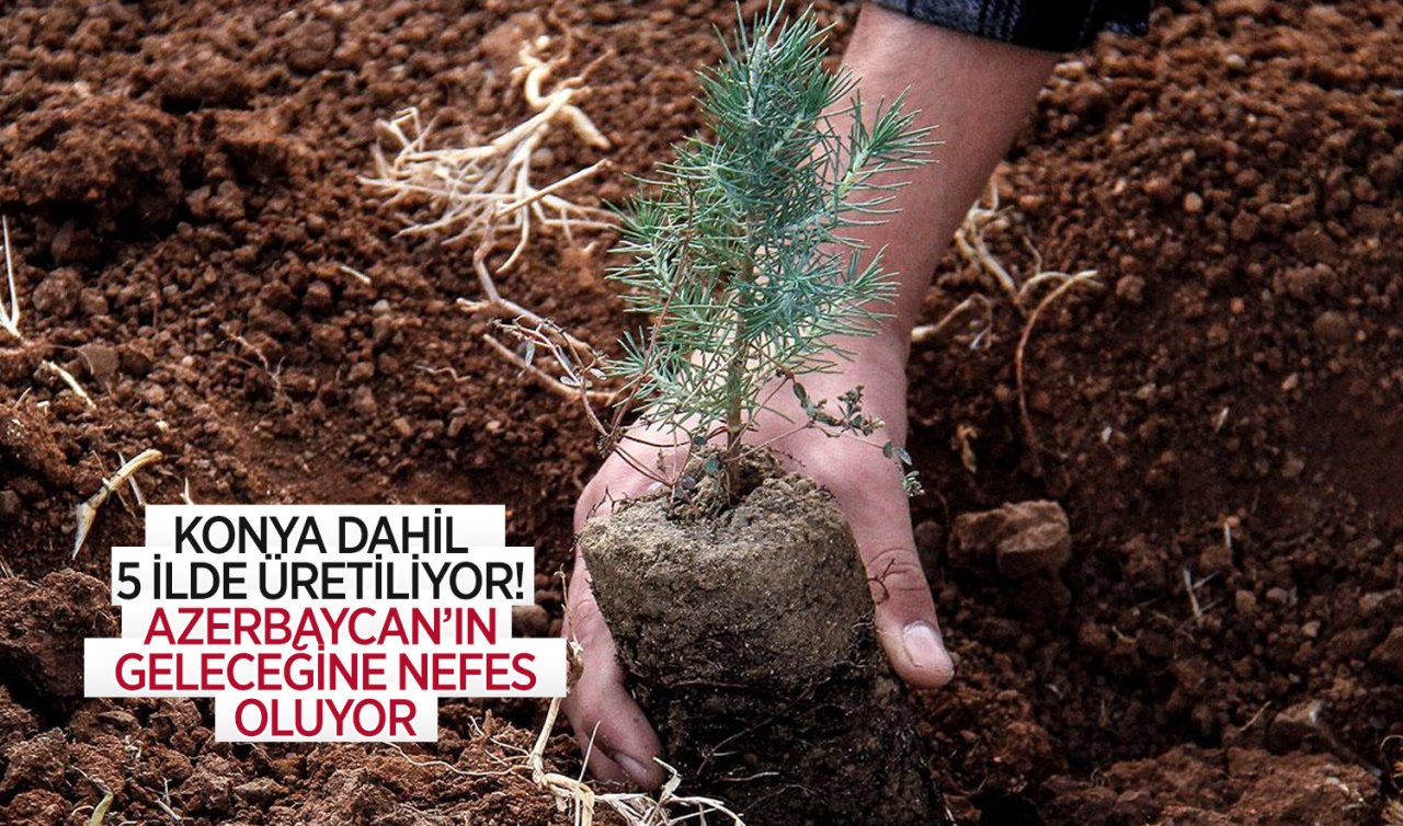 Konya dahil 5 ilde üretiliyor!  Azerbaycan’ın geleceğine nefes oluyor