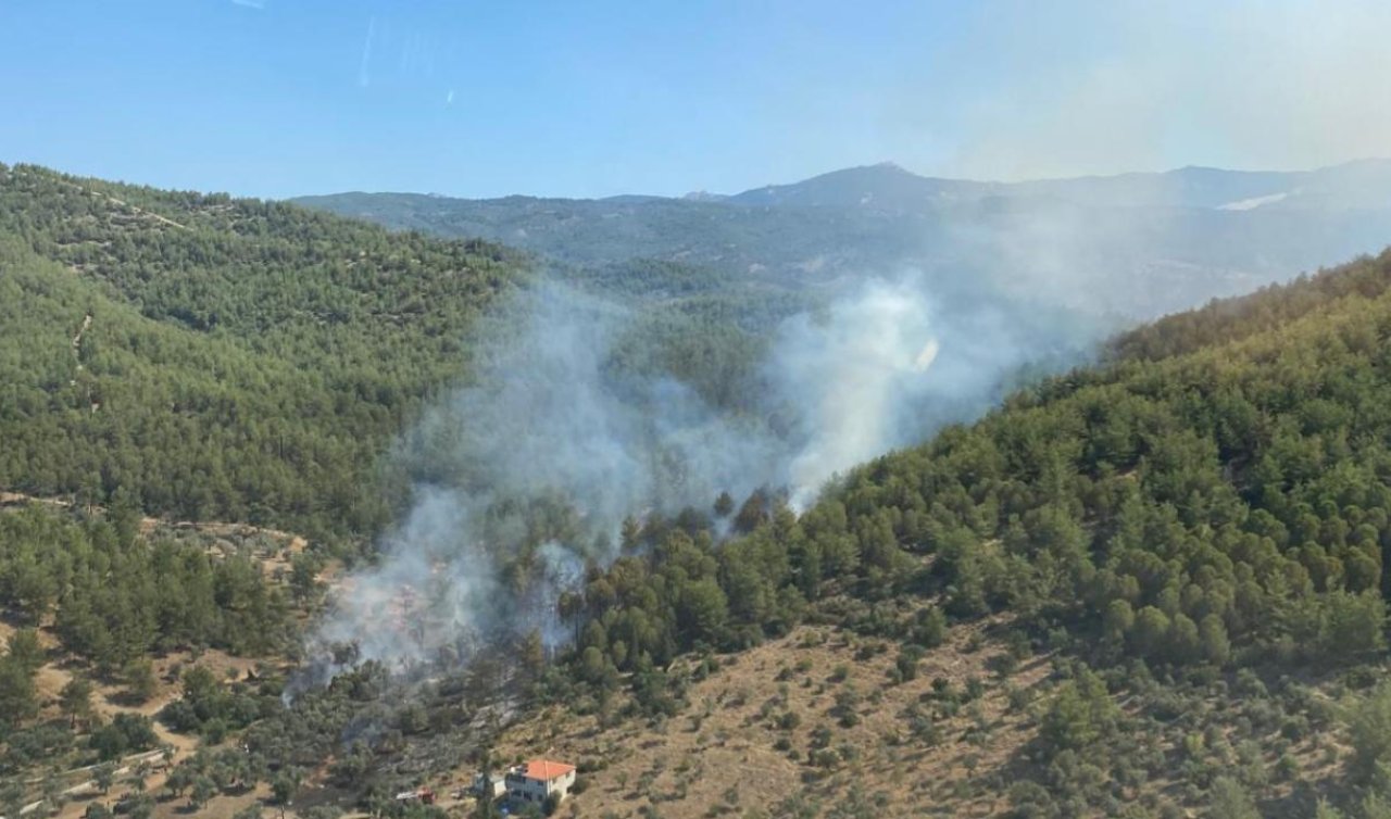 Muğla’nın Milas ilçesinde orman yangını kontrol altına alındı