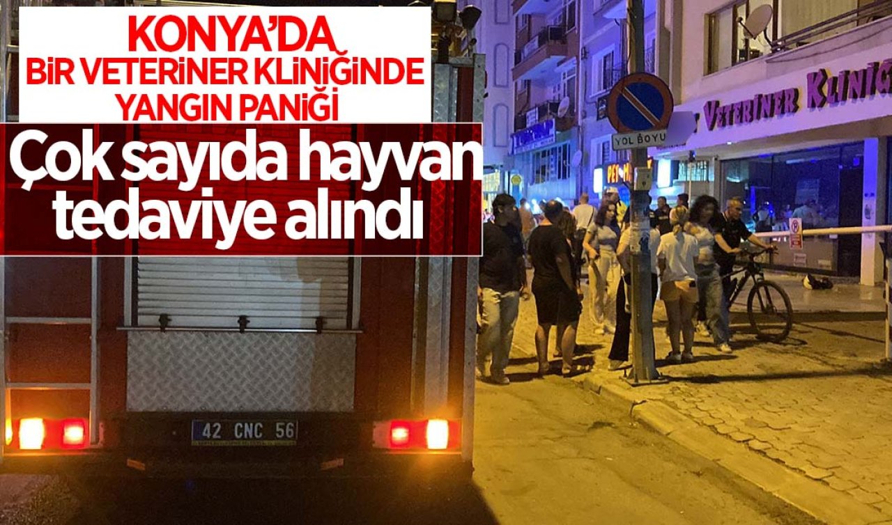 Konya’da veteriner kliniğinde yangın paniği! Çok sayıda hayvan tedaviye alındı