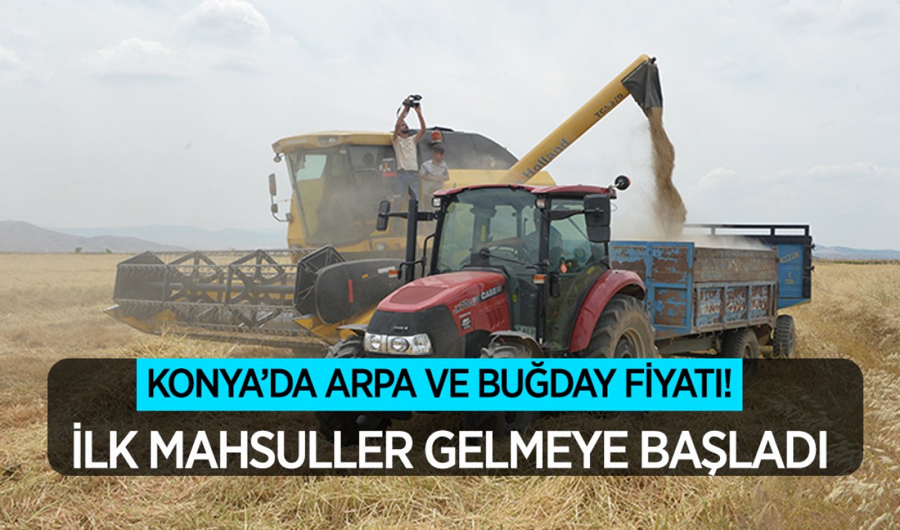 Konya’da arpa ve buğday fiyatı! İlk mahsuller gelmeye başladı
