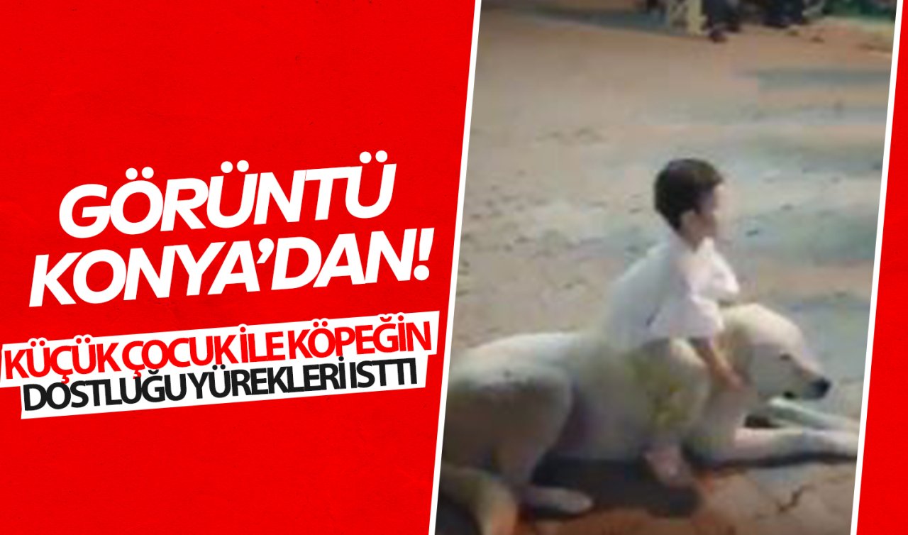  Görüntü Konya’dan! Küçük çocuğun köpekle dostluğu yürekleri ısıttı
