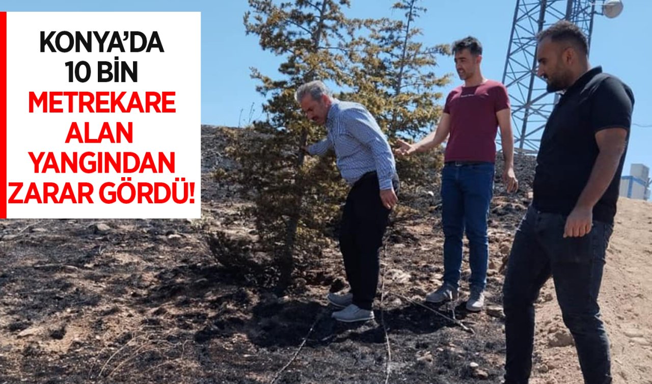 Konya’da 10 bin metrekarelik alan yangından zarar gördü!