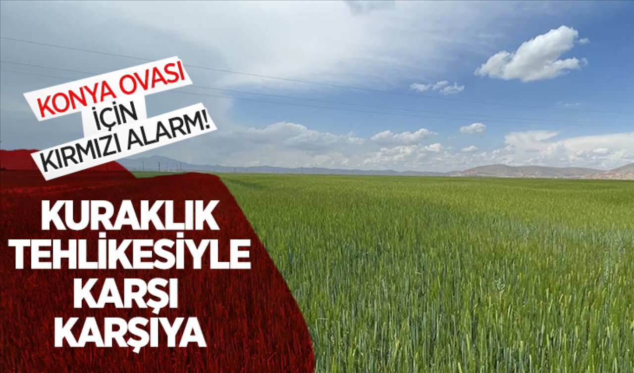 Konya Ovası için kırmızı alarm! Kuraklık tehlikesiyle karşı karşıya 