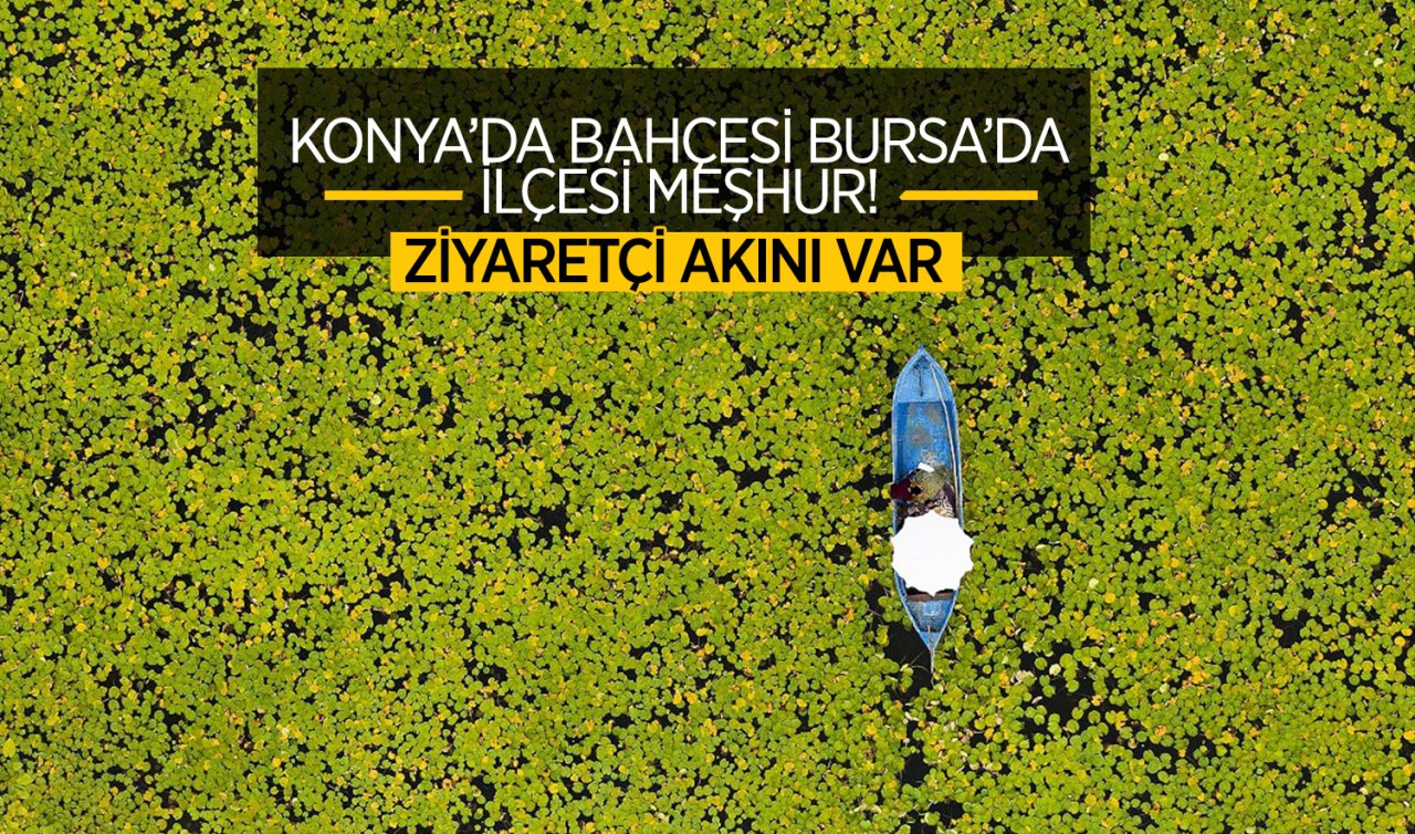 Konya’da bahçesi Bursa’da ilçesi meşhur! Ziyaretçi akını var