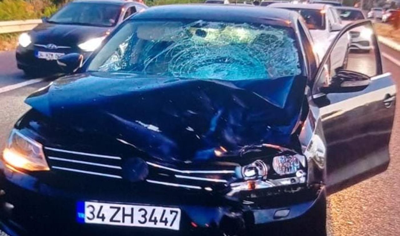 Otomobilin çarptığı 2 yaya öldü