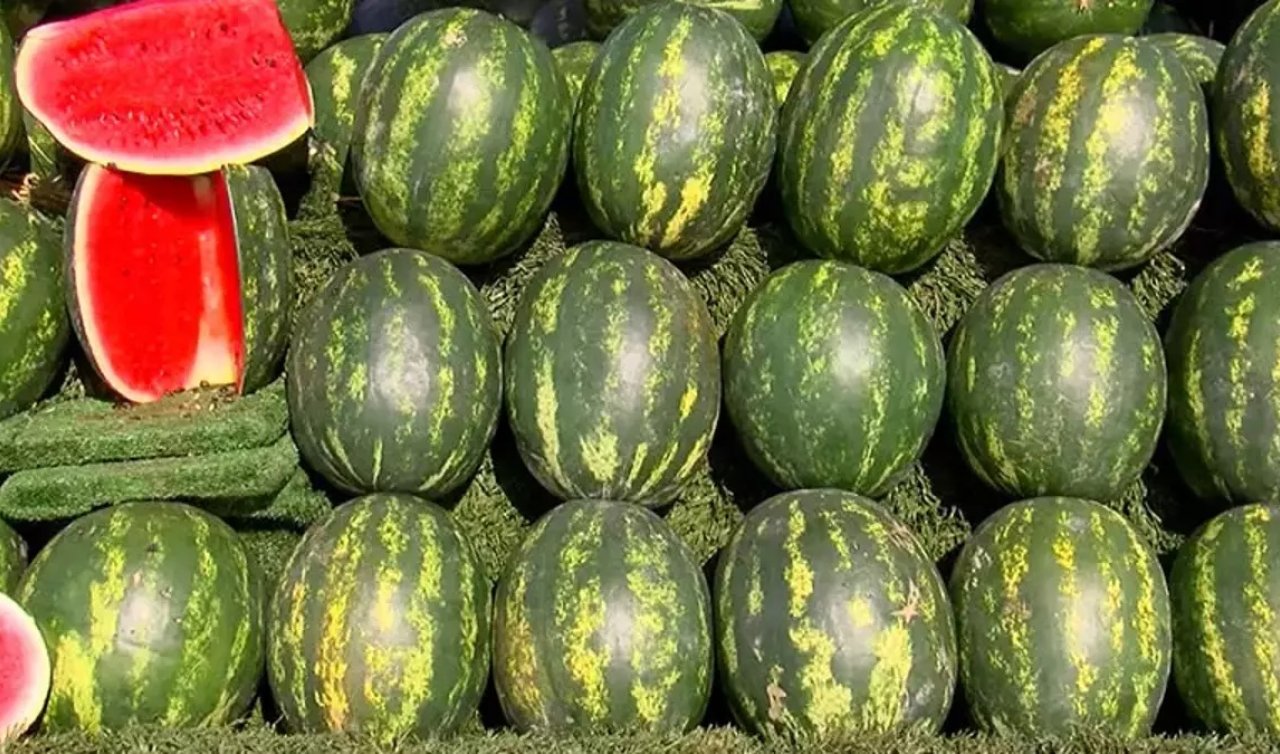 “Kararında tüketilen karpuz tansiyonu dengeliyor”