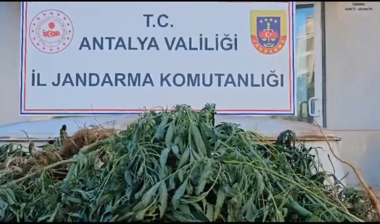 Uyuşturucu tacirlerine “Narkoçelik-24’’ operasyonlarında 28 tutuklama