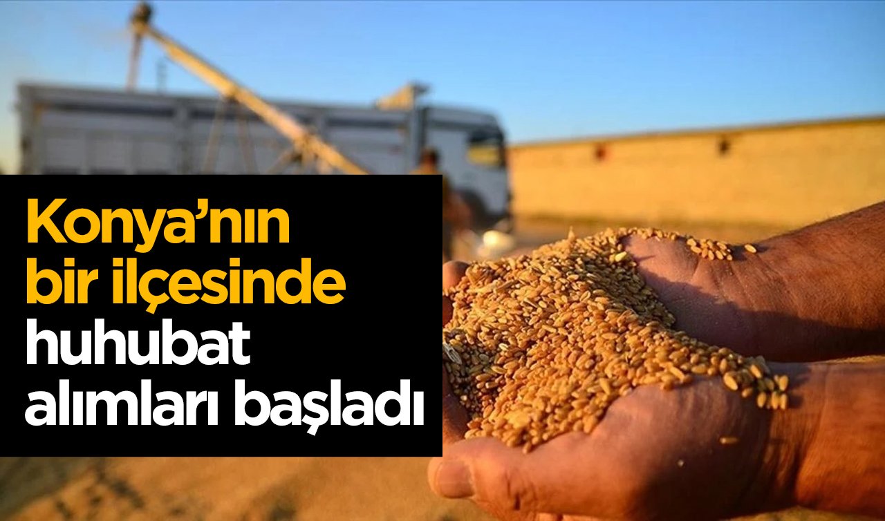 Konya’nın bir ilçesinde huhubat alımları başladı