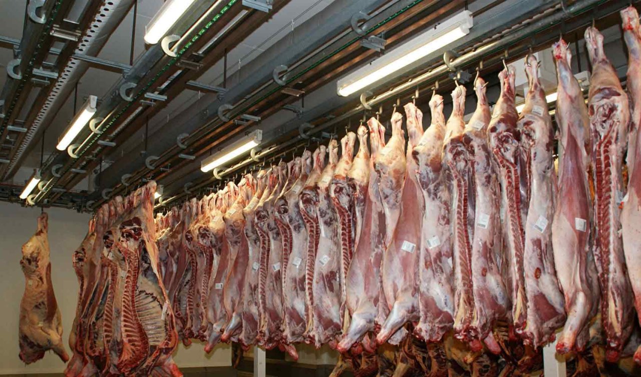  Karkas et kesim fiyatları açıklandı mı? Güncel karkas et kesim fiyatları