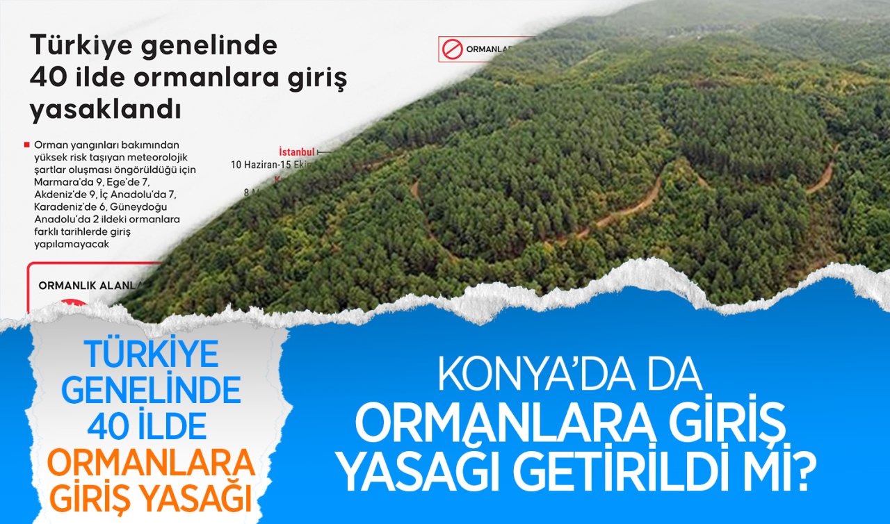  Türkiye genelinde 40 ilde ormanlara giriş yasağı! Konya’da da ormanlara giriş yasağı getirildi mi?