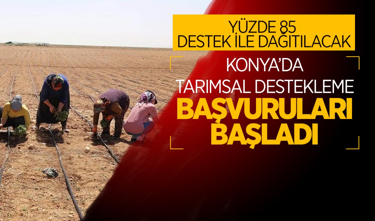 Konya’da Tarımsal Destekleme başvuruları başladı! Yüzde 85 destek ile dağıtılacak