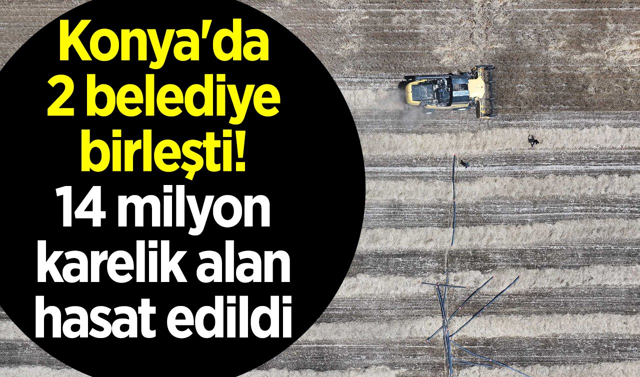 Konya’da 2 belediye birleşti! 14 milyon karelik alan hasat edildi 