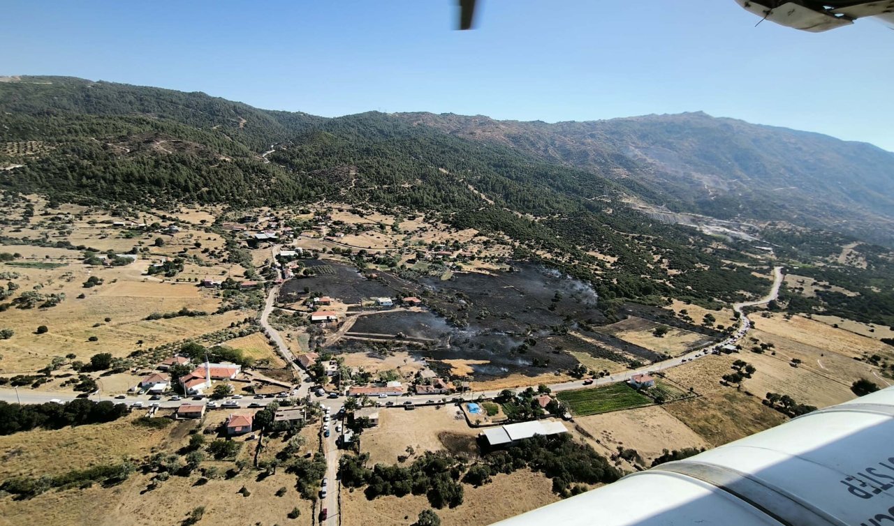 Yangında 20 dönüm arazideki zeytin ağaçları zarar gördü