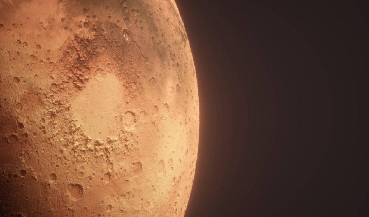 Mars’ta hayatta kalabilecek bir bitki bulundu