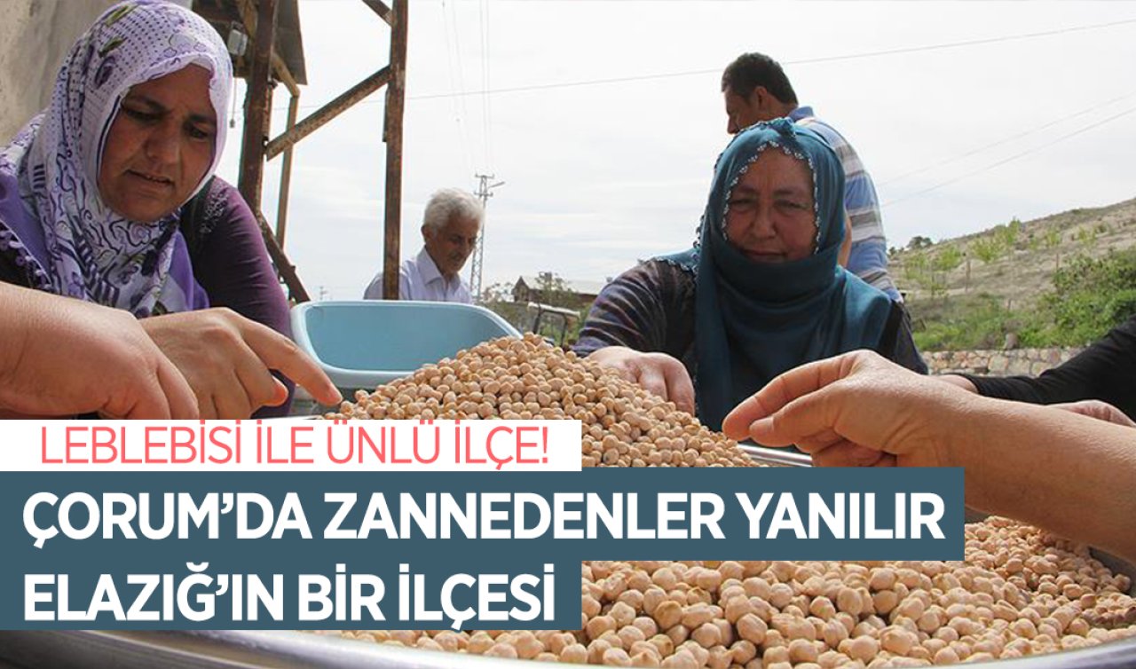  Leblebisi ile ünlü ilçe! Çorum’da zannedenler yanılır: Elazığ’ın bir ilçesi