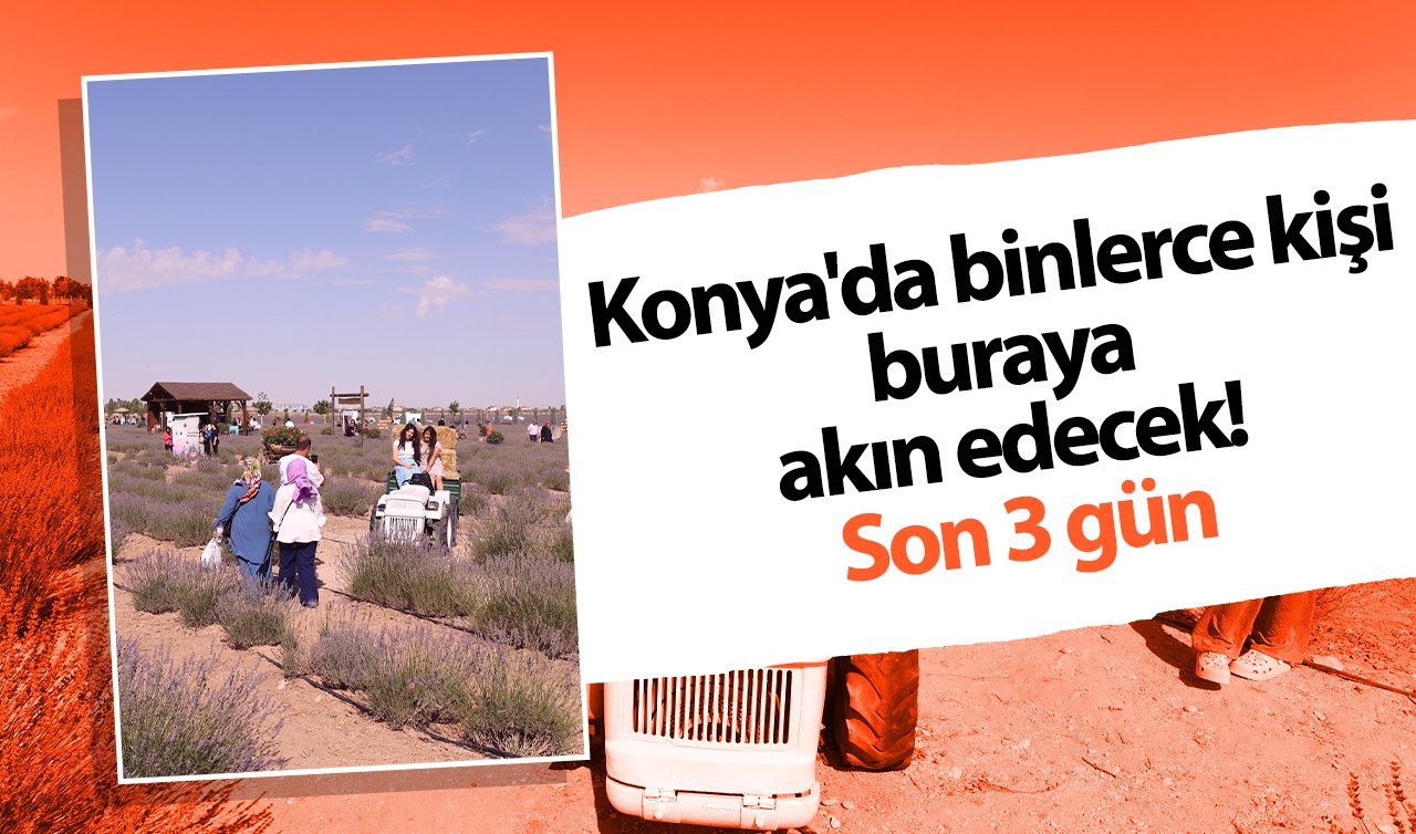 Konya’da binlerce kişi buraya akın edecek! Son 3 gün