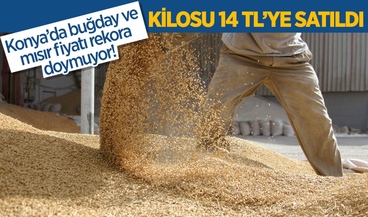 Konya’da kuru fasulye fiyatı belli oldu mu? Yüksek fiyattan 20 ton satıldı