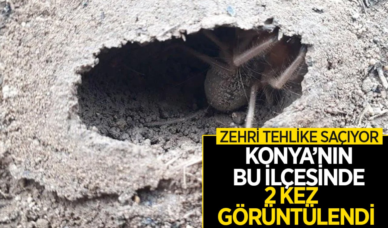 Zehri tehlike saçıyor! Konya’nın bu ilçesinde 2 kez görüntülendi