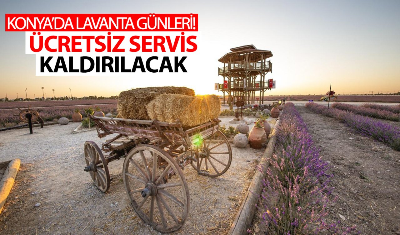 Konya’da Lavanta Günleri! Ücretsiz servis kaldırılacak